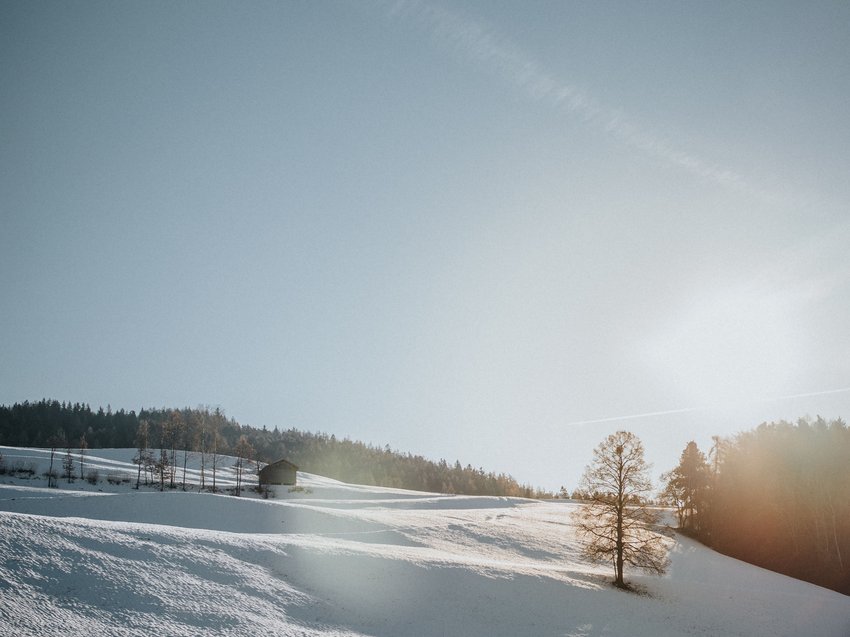 Presulis: Ihre Luxus-Ferienwohnung in Völs am Schlern Schneebedecktes Feld mit Baum und Hütte bei Sonnenlicht